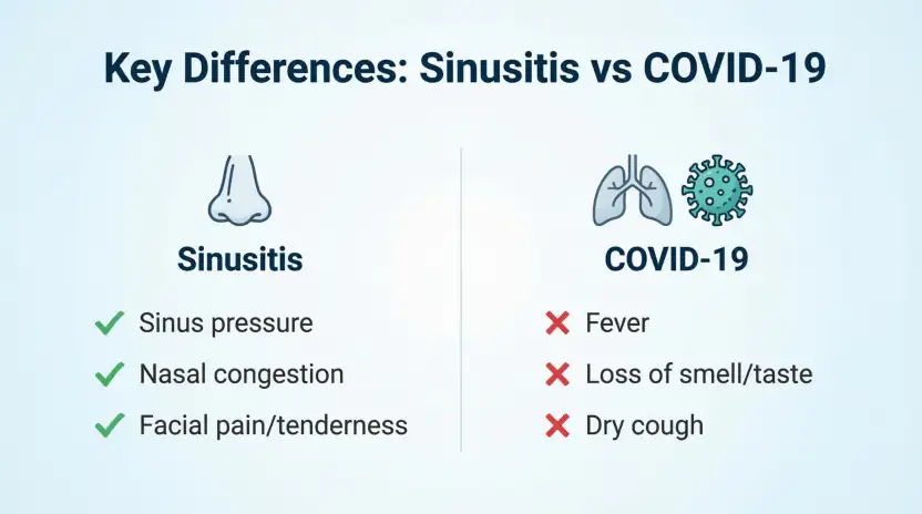 Which Version Should You Use?