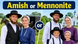 Amish or Mennonite